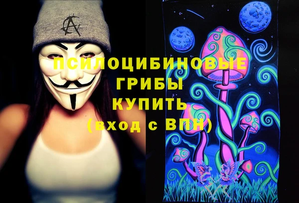 гидра Зеленодольск