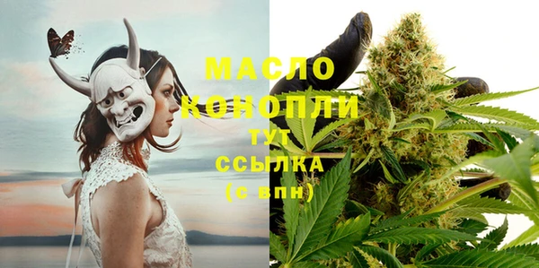 гидра Зеленодольск
