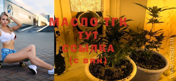 гидра Зеленодольск