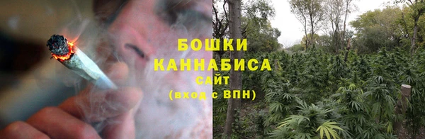 гидра Зеленодольск